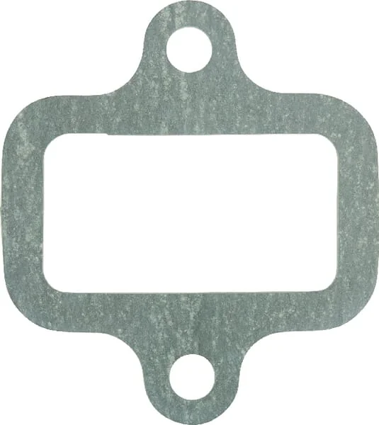 Glaser Dana - F816200090090N - Dichtung