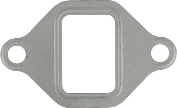 Glaser Dana - F824200100060N - Dichtung