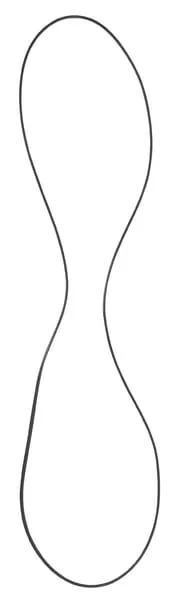 Glaser Dana