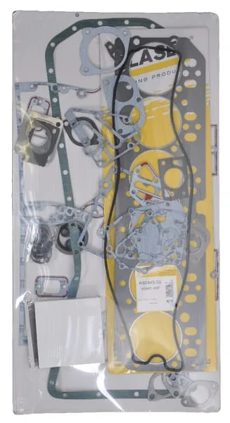 Glaser Dana - RE66087N - JD Motordichtungssatz
