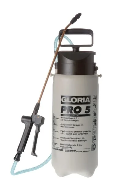 Gloria