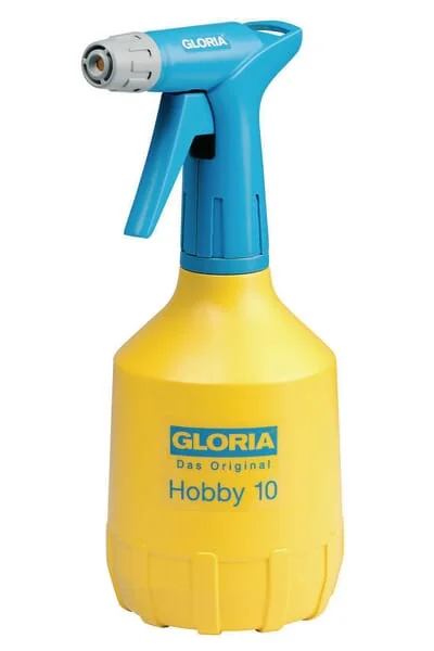 Gloria