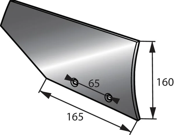 Goizin - 010631 - Ein Voreingenommener Koerper