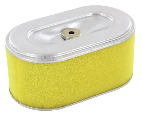 Gopart - FGP430065 - Luftfilter Für Robin