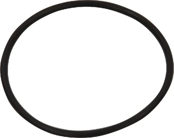 Gregoire Besson - 1233271 - O-Ring 50x2,5 SPER8-VL