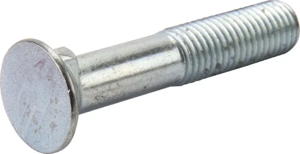 Gregoire Besson - VI1704 - Schraube Sk 1S M11x55