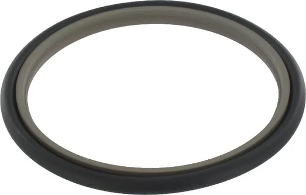 Hallite - SAS8095163 - Kolbenstangen Wiper Stepseal 80x95.1x6.3