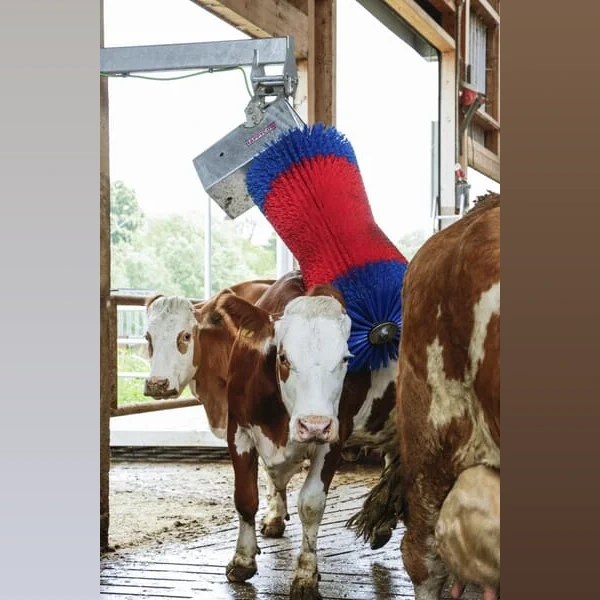 HappyCow - 18860 - Rinderbürste Maxiswing