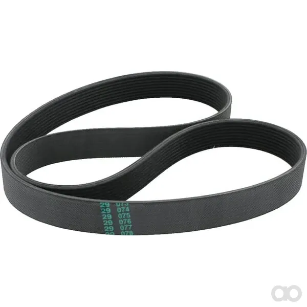 Hatz - 50141501 - Rippenriemen 104872