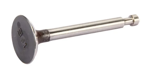 Honda - 14711ZF0010 - Einlassventil