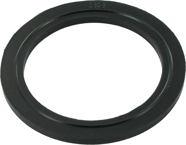 Honda - 16271ZE2010 - Dichtung Für Luftfilter