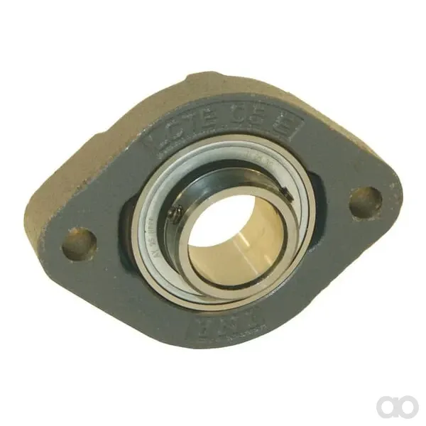 INA FAG