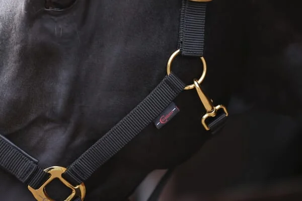 Kerbl - 3224615 - Halfter Topline Schwarz Pony