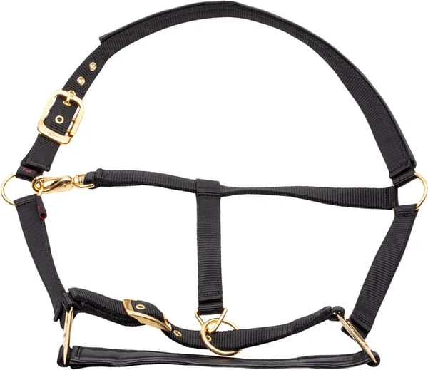 Kerbl - 3224617 - Halfter Topline Schwarz Full