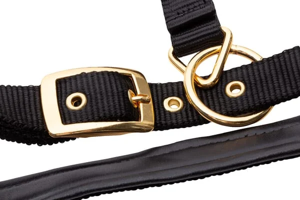 Kerbl - 3224617 - Halfter Topline Schwarz Full