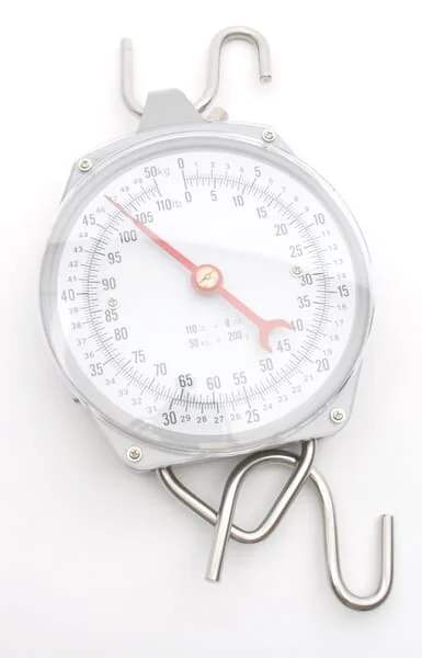 Kerbl - 486783 - Schnellwaage 50 kg