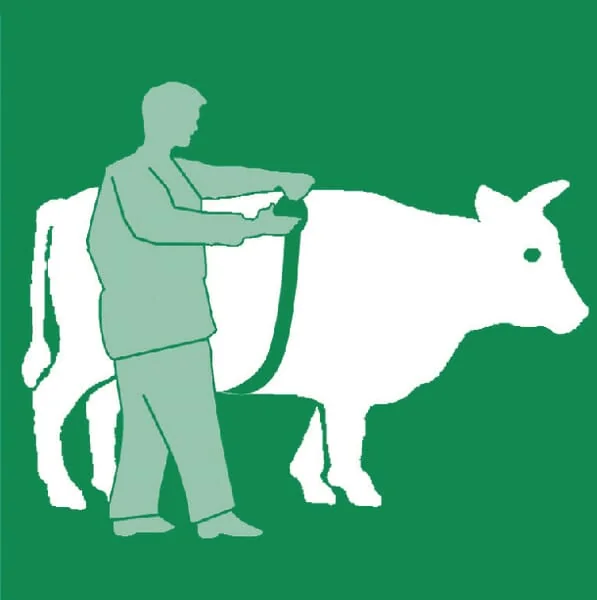 Kerbl - VV2191 - Maßband für Tiere