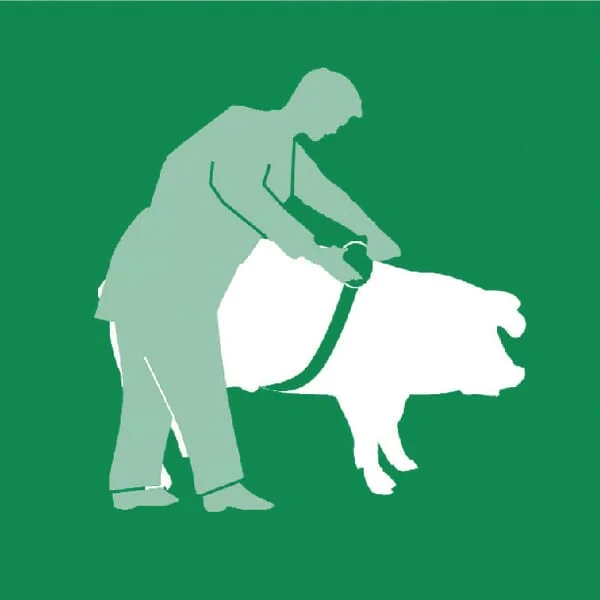 Kerbl - VV2191 - Maßband für Tiere