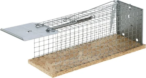 Kerbl - VV299619 - Rattenfalle Lebend 30x11,5x12 cm