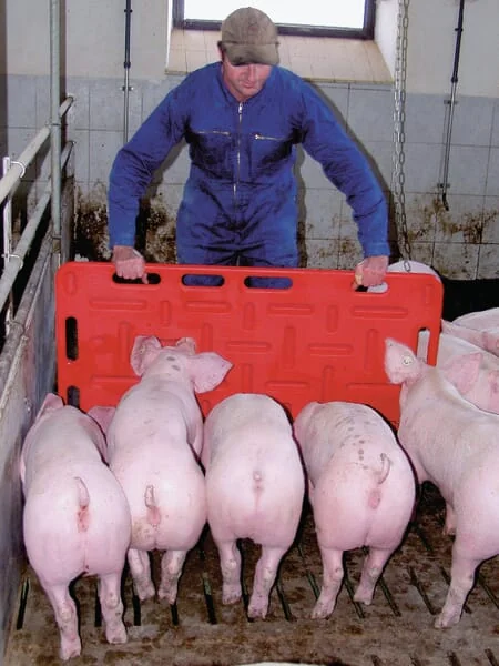 Kerbl - VV9010 - Schweinetreibbrett, 94x76cm