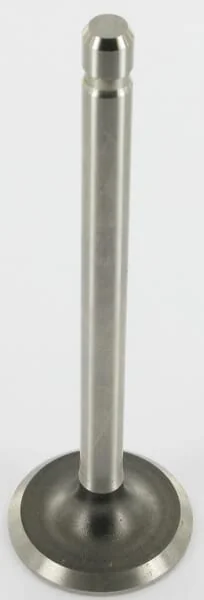 Kohler - 235582S - Auslassventil
