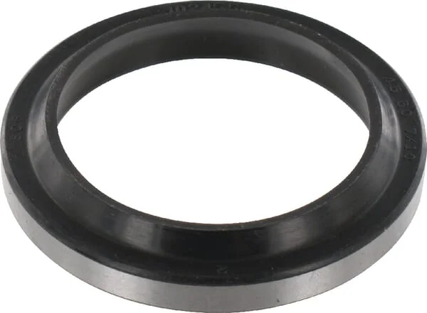 Kramp - ASM45607 - Brisalec Stange ASM 45x60x7/10mm