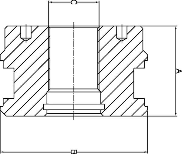 Kramp - DS2911004 - Kolben ohne Dichtungen, Bohrung 110mm