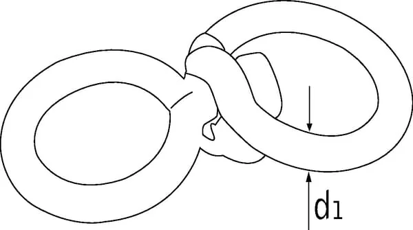 Kramp - WE08 - Doppeltes Drehbares Auge 8 mm