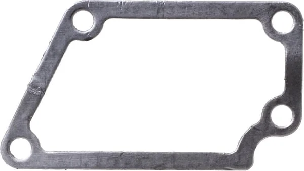 Kubota - 1C01072820 - Thermostatdichtung