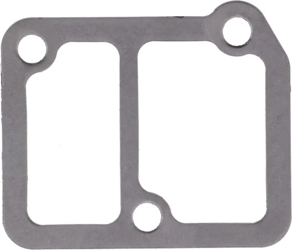 Kubota - 1G41072820 - Thermostat-Dichtung