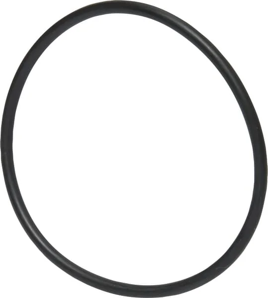 Landini - 3019925X1 - Ring