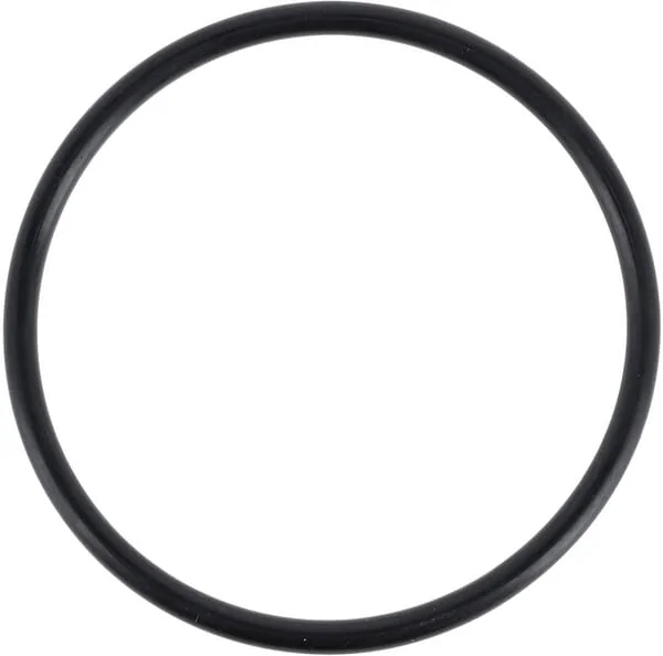 Landini - 3019929X1 - Ring