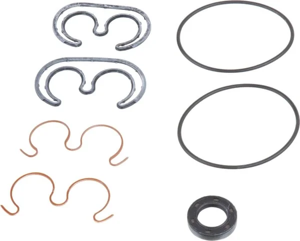 Landini - 3311522M91 - Reparatur-Satz fuer Turolla Pumpe S.30