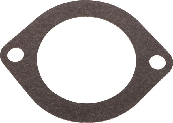 Landini - 6679026A1 - Dichtung