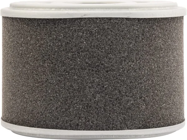 Mann Filter - C10015 - Luftfilter