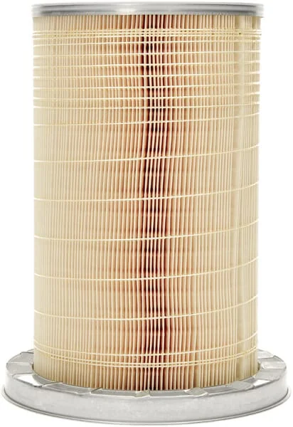 Mann Filter - C193841 - Luftfilter