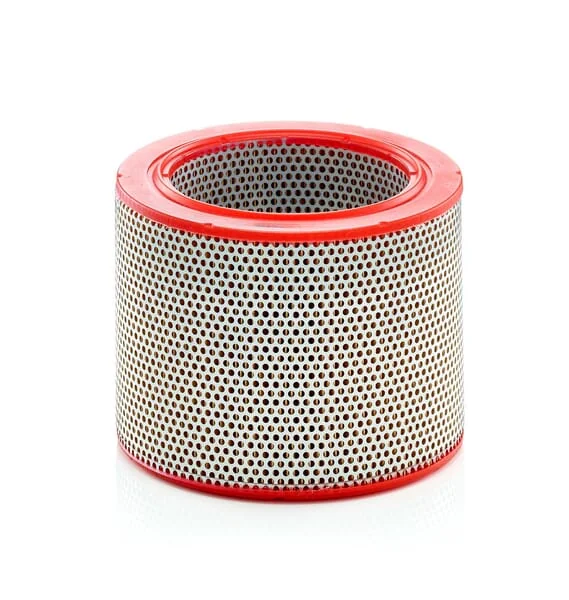Mann Filter - C211381 - Luftfilter