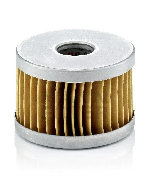 Mann Filter