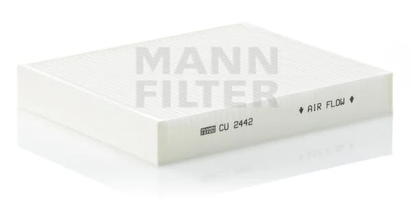 Mann Filter