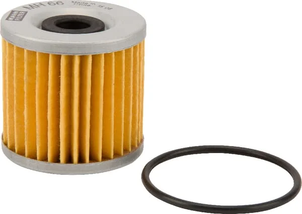 Mann Filter