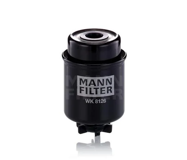 Mann Filter