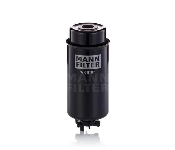 Mann Filter