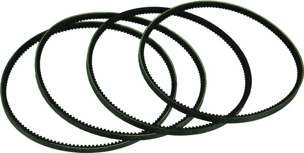 Maschio Gaspardo - 8113621016 - Keilriemensatz (4) JF