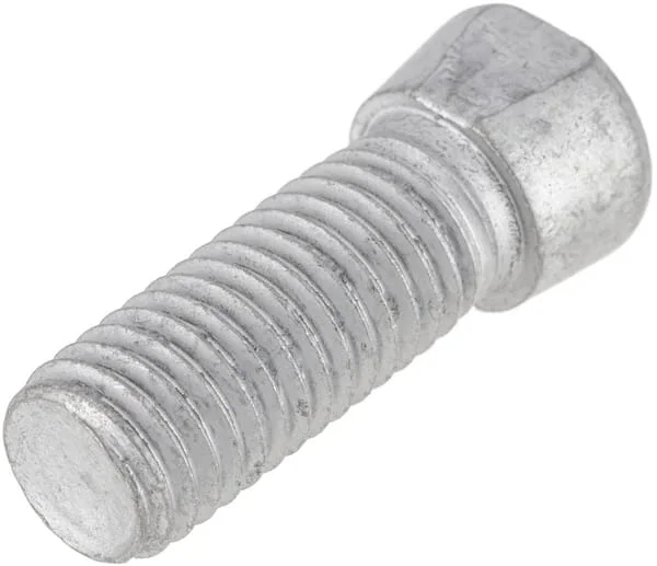Maschio Gaspardo