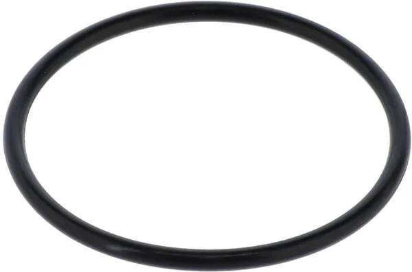 Maschio Gaspardo - F03010546R - Dichtung