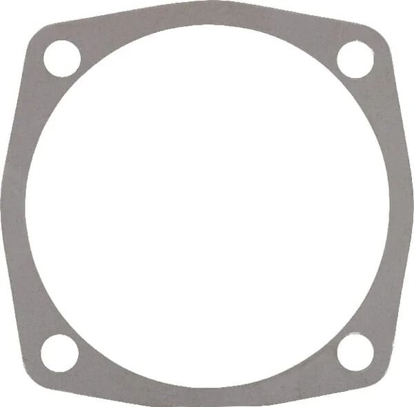 Maschio Gaspardo - M01110151R - Dichtung 0,05 MM Maschio Gaspardo