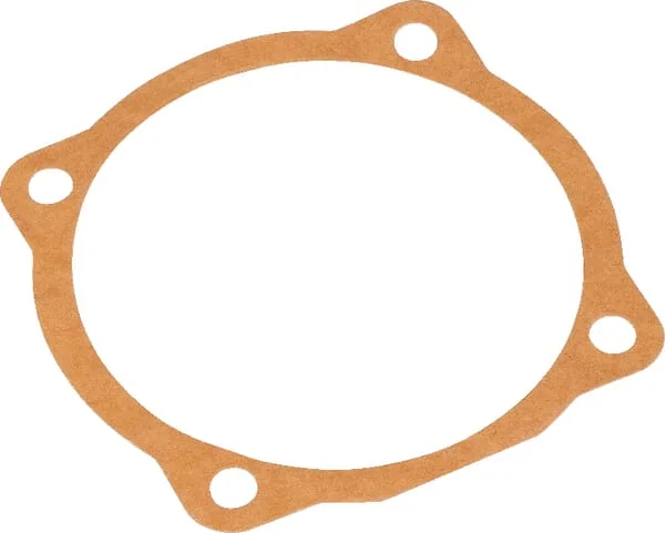 Maschio Gaspardo - M29100107R - Dichtung 0,1 mm Maschio Gaspardo