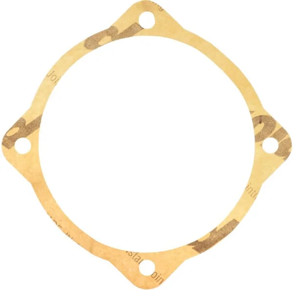 Maschio Gaspardo - M48000109R - Dichtung 0,1 mm Maennlich