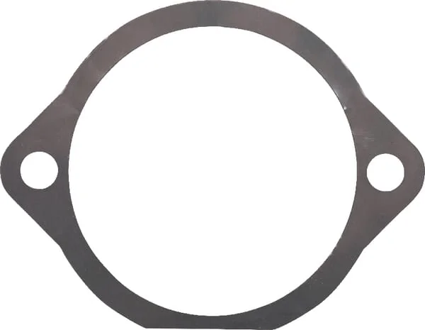 Maschio Gaspardo