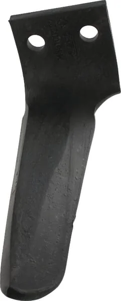 Maschio